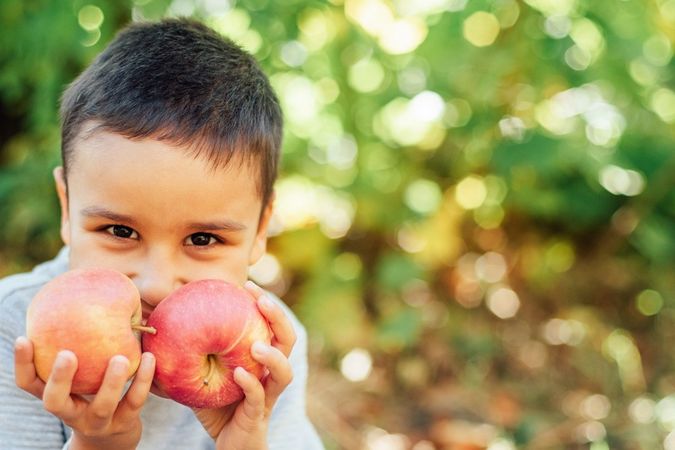 MLV NRW EU Schulprogramm: TYPO3-Website mit interaktiver Karte