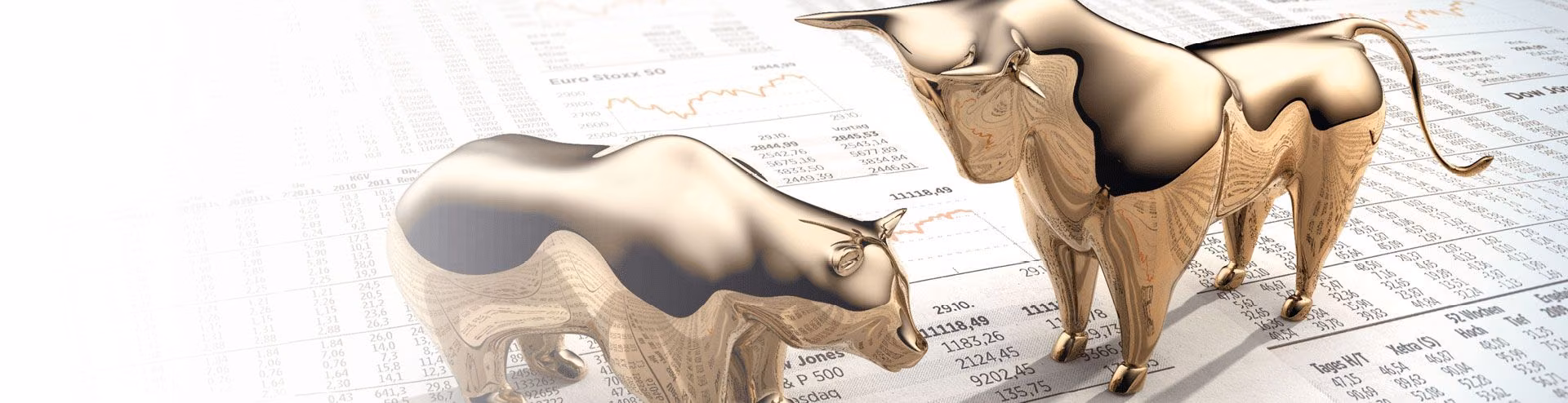 Bayerische Börse AG: gettex trading system
TYPO3