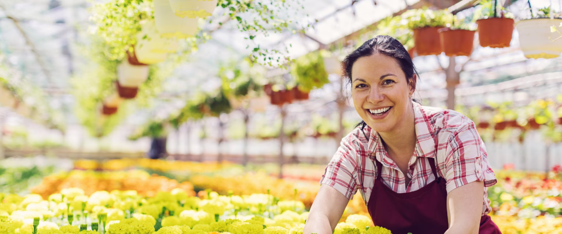 Case Study Netresearch: B2B/B2C Onlineshop f&uuml;r Hermann Meyer KG