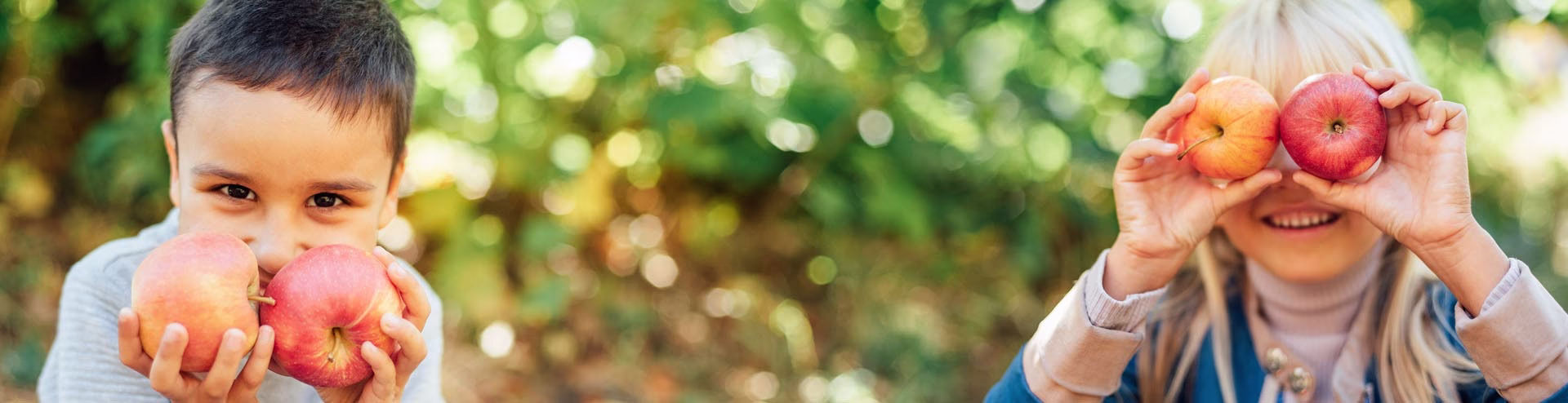 MLV NRW: Interaktive Suche TYPO3-Website - EU-Schulprogramm