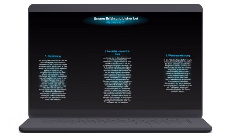 Screenshot der Website der Schülerpraktikanten - Beschreibungen des Verlaufs ihres Praktikums bei Netresearch